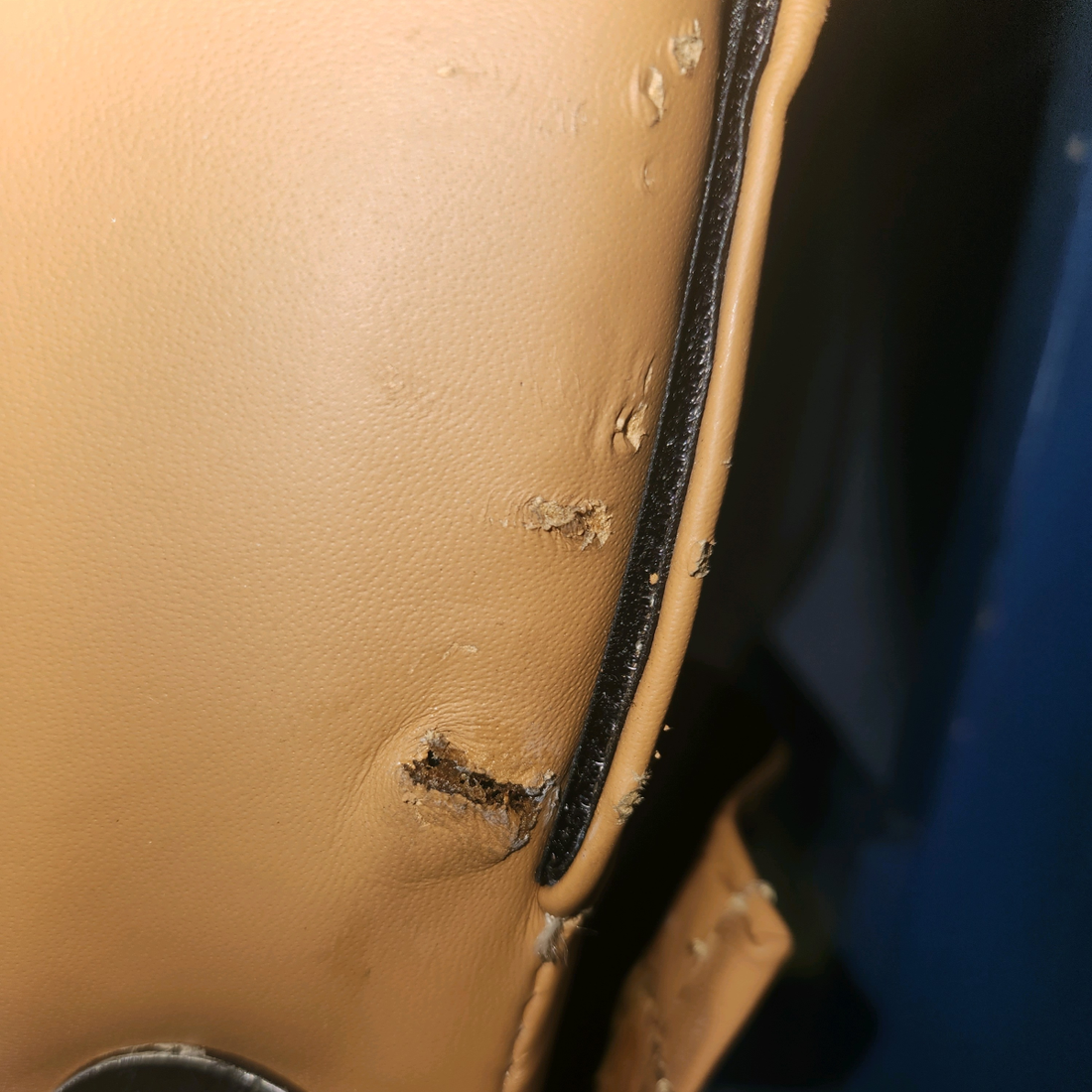 Used aircraft parts for sale, Upholstery Leather PIPER PA-24-250 Upholstery Leather Complete "SEE PHOTOS FOR DETAILS"