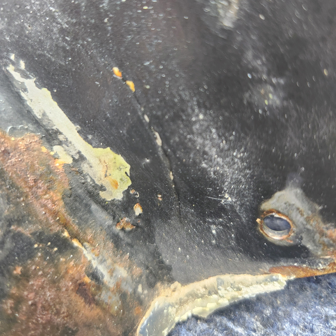 Used aircraft parts for sale, 65384-000 PIPER PA28-161 Warrior III STEP ASSEMBLY